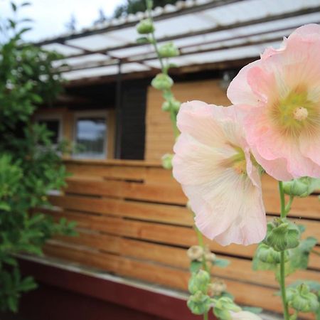 Ferienhaus Am Wald Tambach-Dietharz Luaran gambar